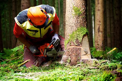 3 Wege für Holzarbeiter, Geld zu sparen